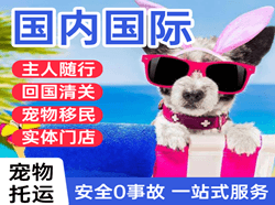 昭苏天马机场快递国际宠物托运 【国